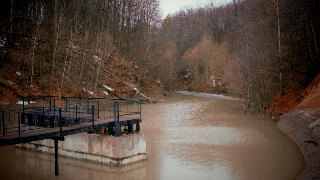 Bridges, Not Walls: The Strategic Value of Operational Transparency